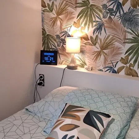 Apartment 50m Des Cures Sophie Renove Wifi Parking Balcon