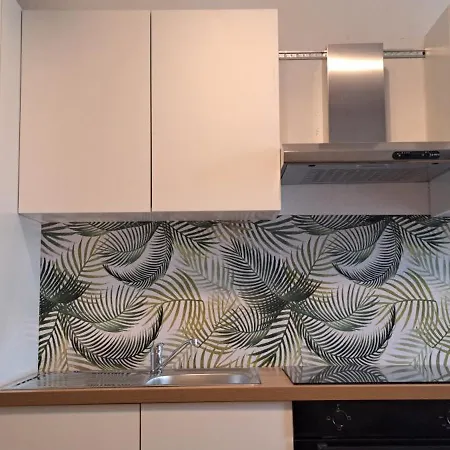 Apartment A 50M Des Cures Libre Mi Aout Et Mi Septembre Joli Studio Renove Oriente Nord Bien Ventile *