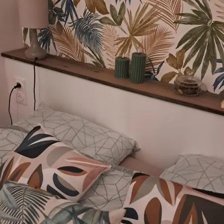 A 50M Des Cures Libre Mi Aout Et Mi Septembre Joli Studio Renove Oriente Nord Bien Ventile 아파트