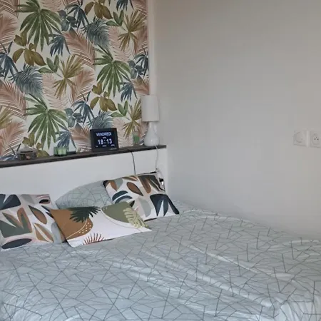 Apartment 50m Des Cures Sophie Renove Wifi Parking Balcon *