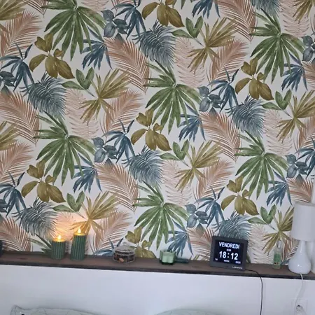 Apartment Agreable Et Frais Au Nord Joli Sophie Renove Wifi Parking Balcon Amelie-les-Bains-Palalda