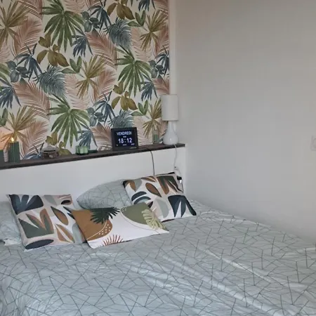 50m Des Cures Sophie Renove Wifi Parking Balcon Apartment Amelie-les-Bains-Palalda