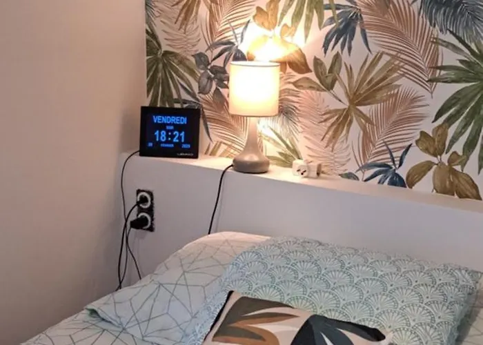Apartment Grand Sophie Coin Nuit Cosy Renove Avec Gout Wi-fi Balcon Parking 50m Des Cures Libre 14 Juin Au 21 Aout