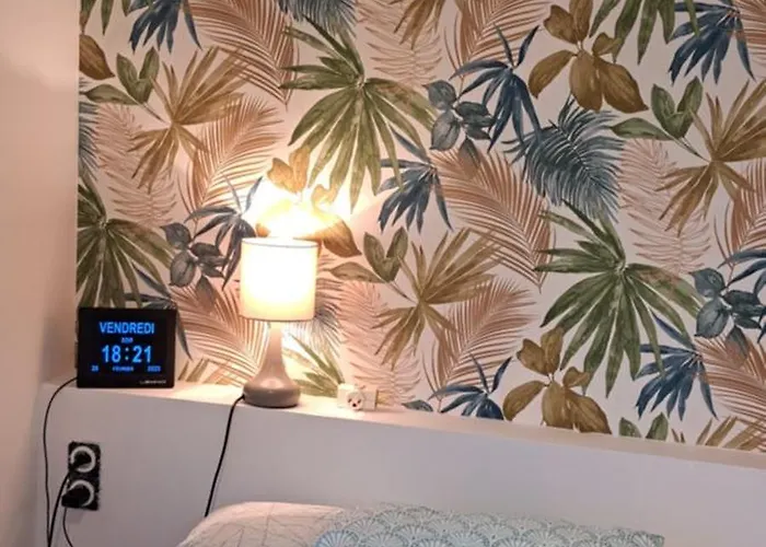 Grand Sophie Coin Nuit Cosy Renove Avec Gout Wi-fi Balcon Parking 50m Des Cures Libre 14 Juin Au 21 Aout Apartment *