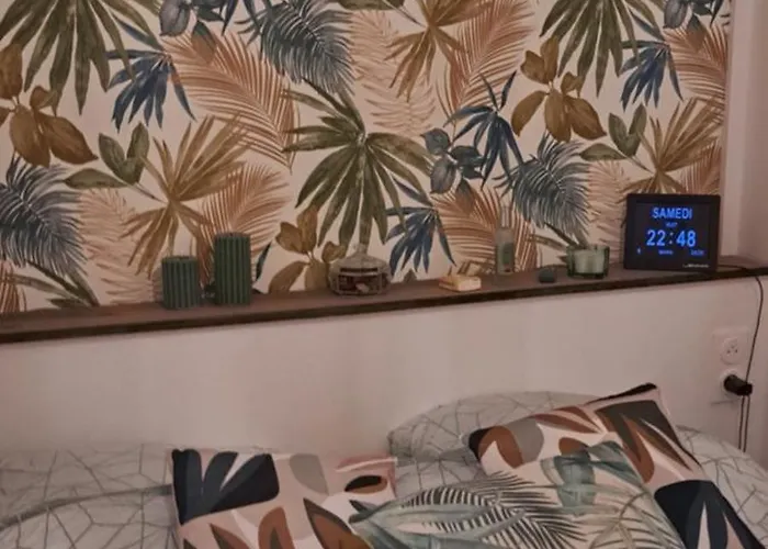 Grand Sophie Coin Nuit Cosy Renove Avec Gout Wi-fi Balcon Parking 50m Des Cures Libre 4 Juillet Au 21 Aout * Amélie-les-Bains-Palalda