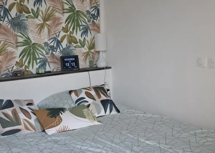 Apartment Grand Sophie Coin Nuit Cosy Renove Avec Gout Wi-fi Balcon Parking 50m Des Cures Libre 14 Juin Au 21 Aout *