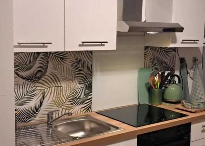 Grand Sophie Coin Nuit Cosy Renove Avec Gout Wi-fi Balcon Parking 50m Des Cures Libre 14 Juin Au 21 Aout Apartment Amélie-les-Bains-Palalda