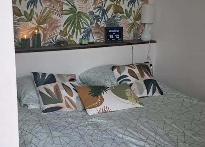 Grand Sophie Coin Nuit Cosy Renove Avec Gout Wi-fi Balcon Parking 50m Des Cures Libre 14 Juin Au 21 Aout *