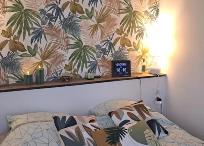 Διαμέρισμα Grand Sophie Coin Nuit Cosy Renove Avec Gout Wi-fi Balcon Parking 50m Des Cures Libre 4 Juillet Au 21 Aout *