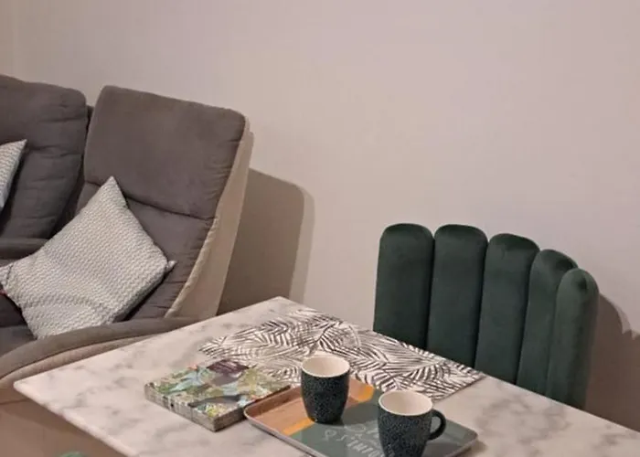 Grand Sophie Coin Nuit Cosy Renove Avec Gout Wi-fi Balcon Parking 50m Des Cures Libre 14 Juin Au 21 Aout Apartment Amélie-les-Bains-Palalda