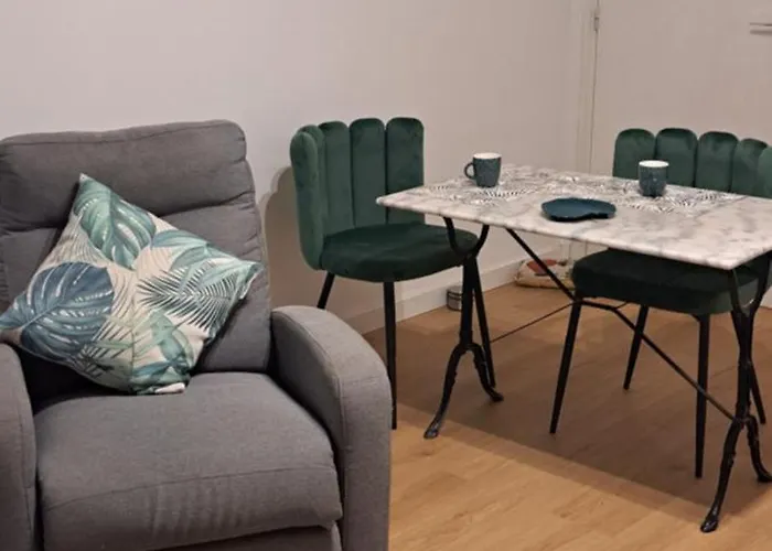 Grand Sophie Coin Nuit Cosy Renove Avec Gout Wi-fi Balcon Parking 50m Des Cures Libre 14 Juin Au 21 Aout Apartment *