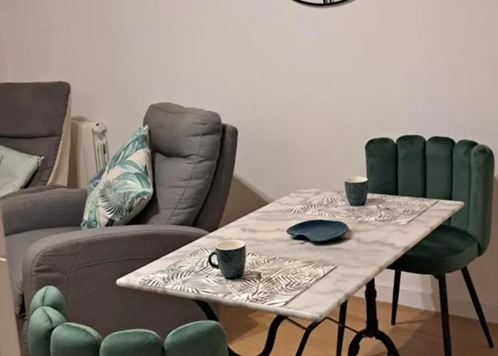 Grand Sophie Coin Nuit Cosy Renove Avec Gout Wi-fi Balcon Parking 50m Des Cures Libre 14 Juin Au 21 Aout Apartment *