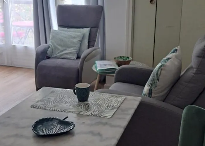 Grand Sophie Coin Nuit Cosy Renove Avec Gout Wi-fi Balcon Parking 50m Des Cures Libre 4 Juillet Au 21 Aout Διαμέρισμα Amélie-les-Bains-Palalda