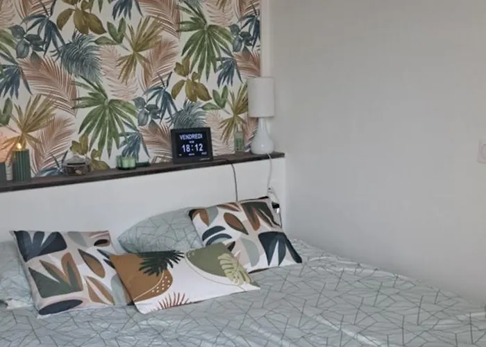 Grand Sophie Coin Nuit Cosy Renove Avec Gout Wi-fi Balcon Parking 50m Des Cures Libre 14 Juin Au 21 Aout Apartment Amélie-les-Bains-Palalda
