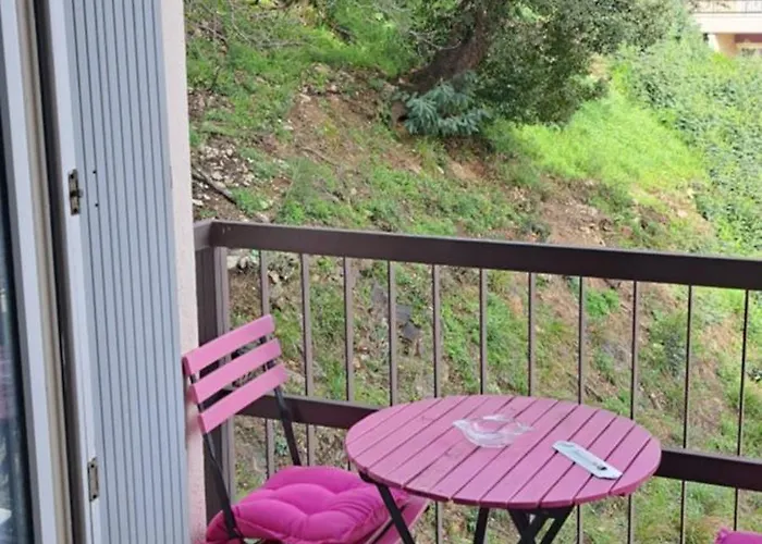 Grand Sophie Coin Nuit Cosy Renove Avec Gout Wi-fi Balcon Parking 50m Des Cures Libre 14 Juin Au 21 Aout Apartment Amélie-les-Bains-Palalda