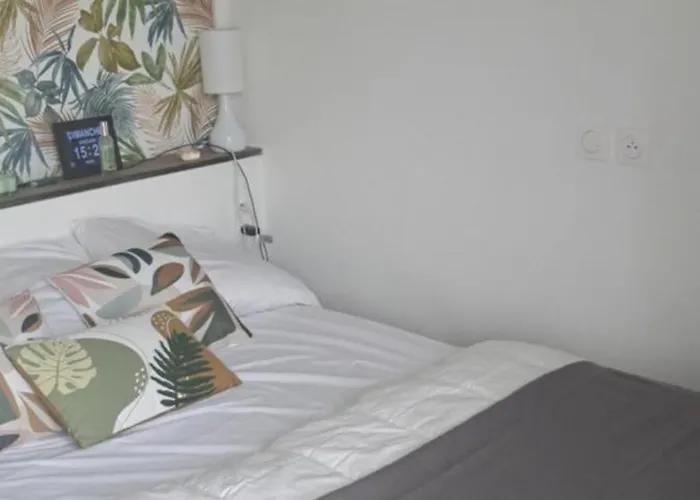 Grand Sophie Coin Nuit Cosy Renove Avec Gout Wi-fi Balcon Parking 50m Des Cures Libre 14 Juin Au 21 Aout Apartment *