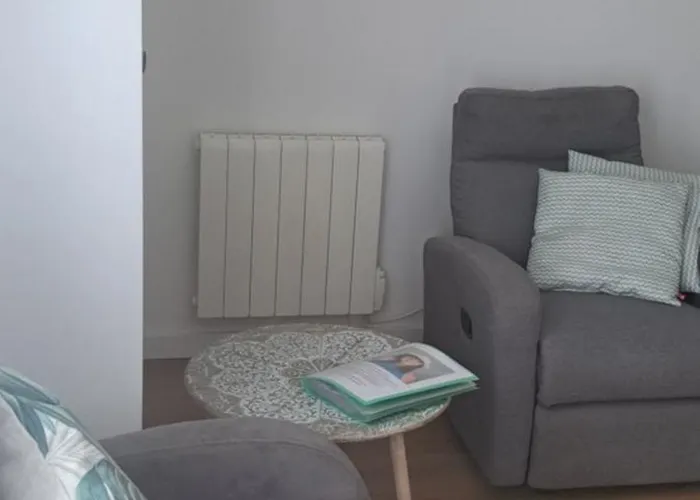 Grand Sophie Coin Nuit Cosy Renove Avec Gout Wi-fi Balcon Parking 50m Des Cures Libre 14 Juin Au 21 Aout Apartment